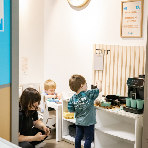 Playa mängumaa mänguköök